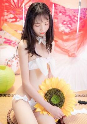 一级黄片毛片_DVD全集免费播放